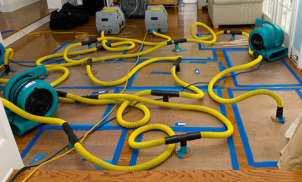 Professional Storm Water Damage Restoration technician working in Cascade, CO